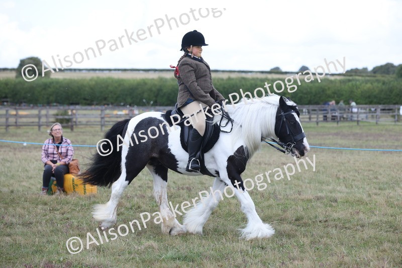 20250831-4222 - Class 20 - Ridden Coloured