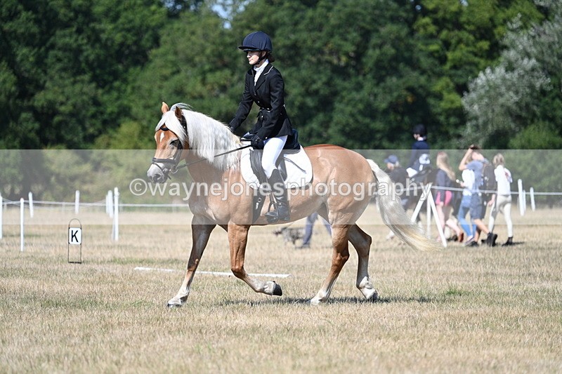 WJ7_0294 - Time 11:33 to 11:44