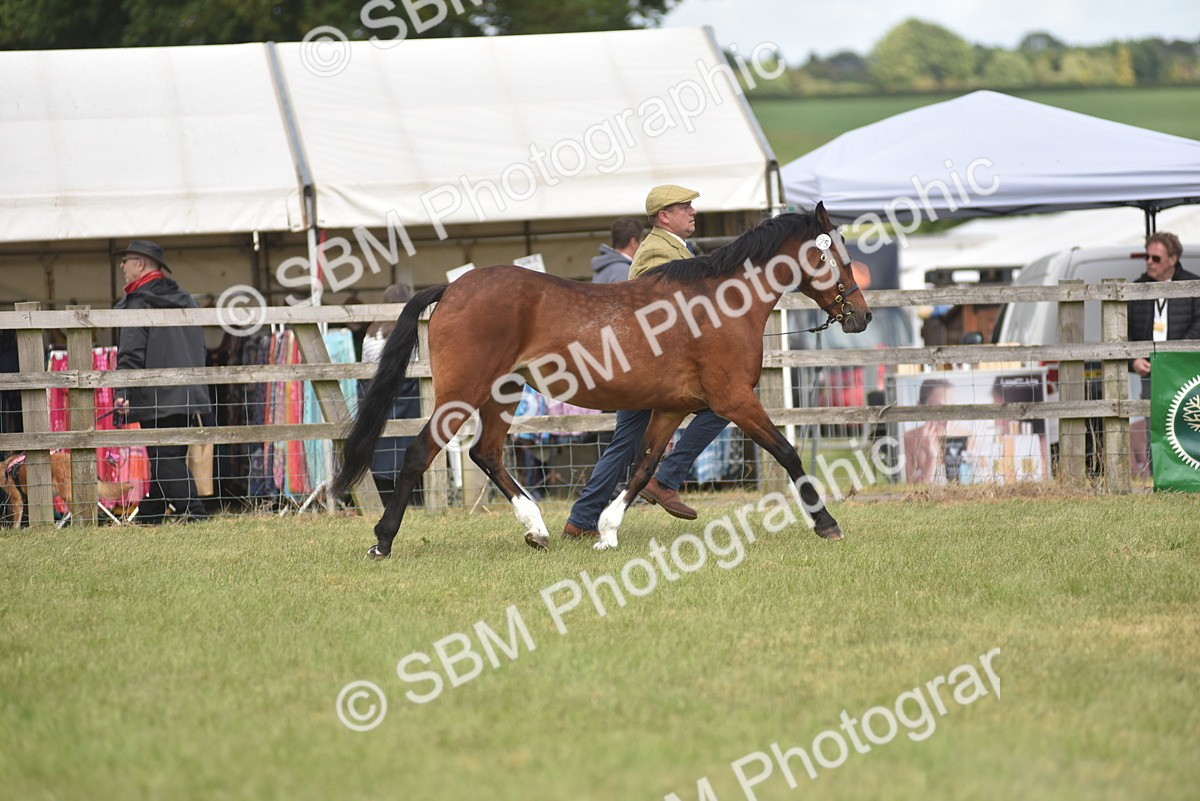 SBM_16145 - Class 117-122 - SSADL RIHS Qualifier