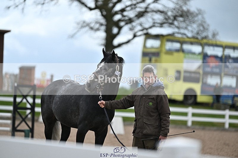 240417A-123749-00157 - 12pm to 1pm