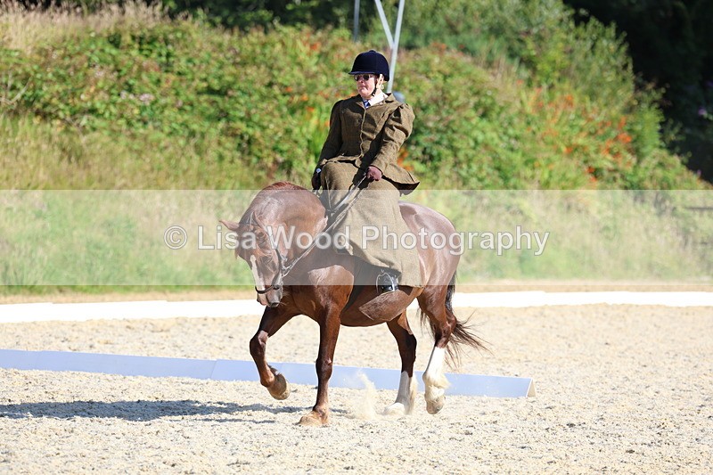 3E7A3438 - Class 2: Intro 1 2024 Section B