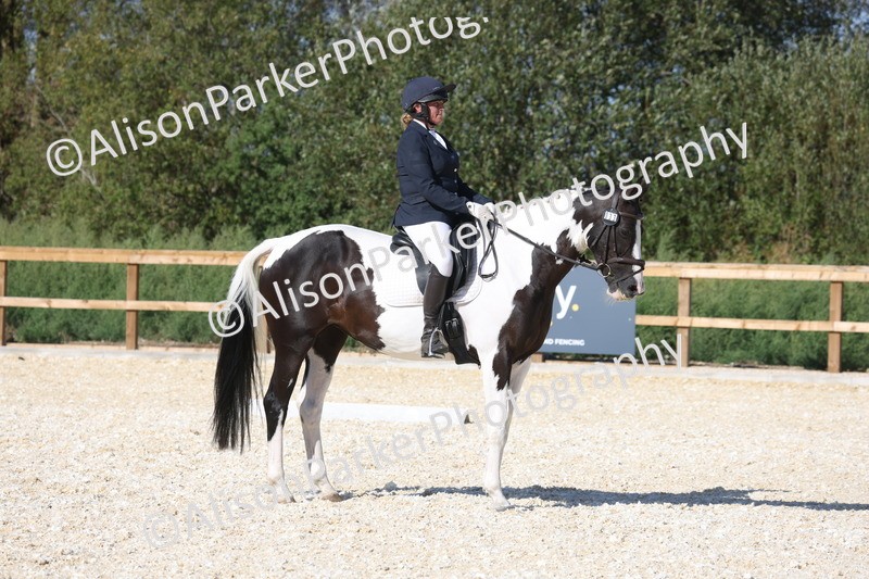 20260905-1585 - Class 5 - Novice 2