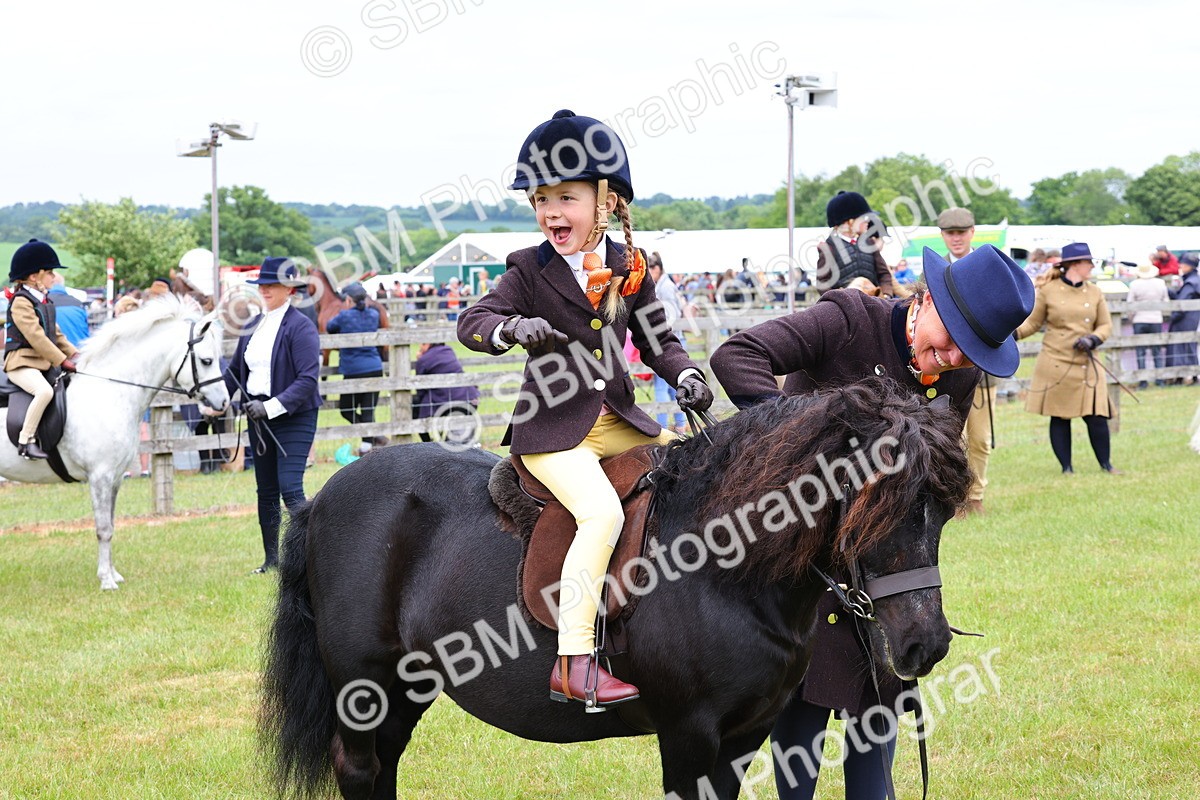 SBM_08339 - Class 42-43 - LIHS BSPS Heritage Working Sports Pony