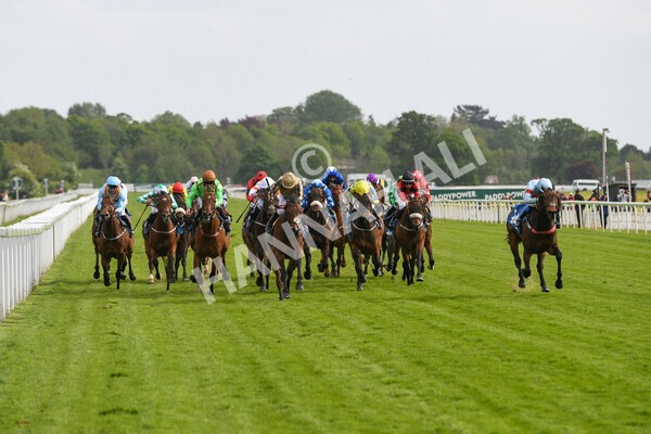 yr13052022r6-31 - Race 6 4.45pm Yorkshire Equine Practice Stakes