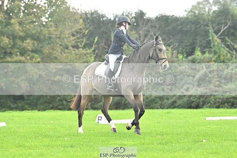 241024-114743-02480 - 319-Neve.Webber-MR.BUZZ