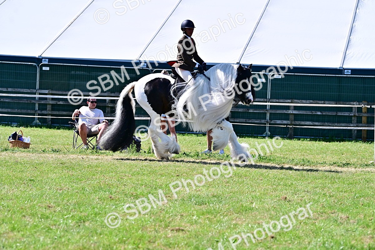 SBM_19382 - Class 101-102 - BSPS LIHS Performance Coloured Horse/Pony