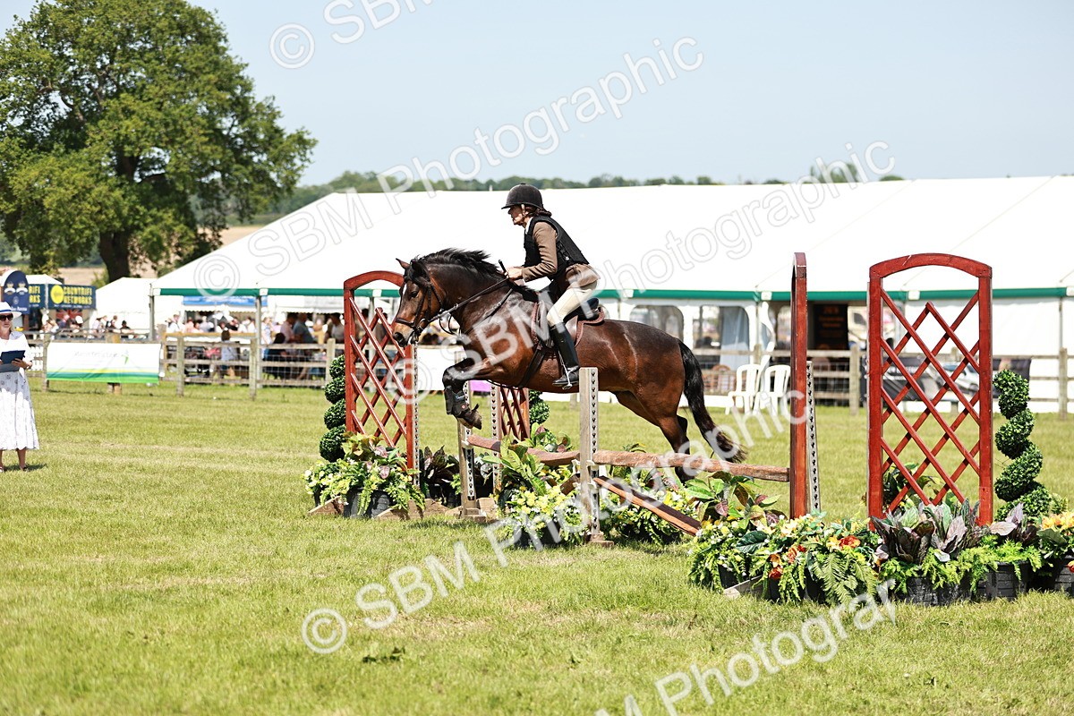 SBM_16384 - Class 110-111 - Training Stakes (70cms 80cms)