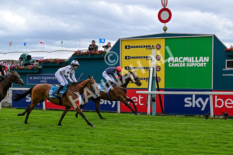 130626-Race 1-Dunkeld Dreamer-0556 - Race 1 13.50pm Queen Mother's Cup Handicap
