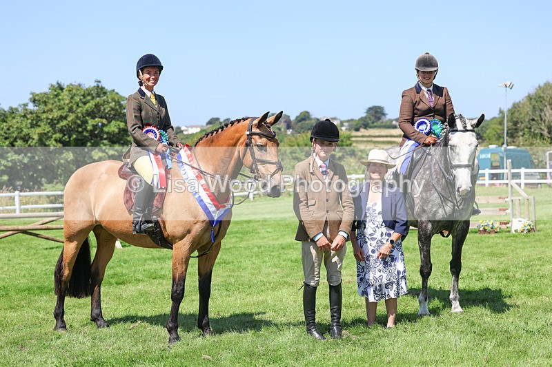 3E7A9334 - Working Hunter Championship