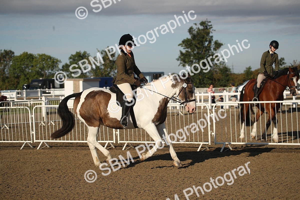 SBM_11529 - Class 502 - Riding Club Horse