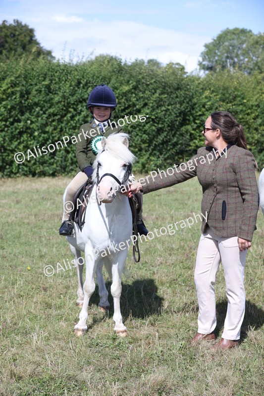 20250831-2565 - Class 16 - Family Pony