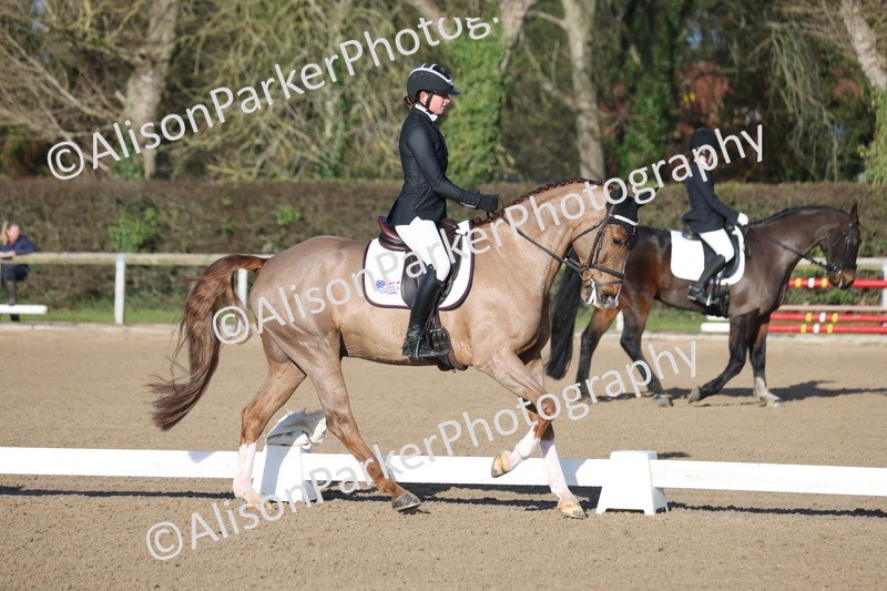 20260128-0188 - Class 3 - Novice 4