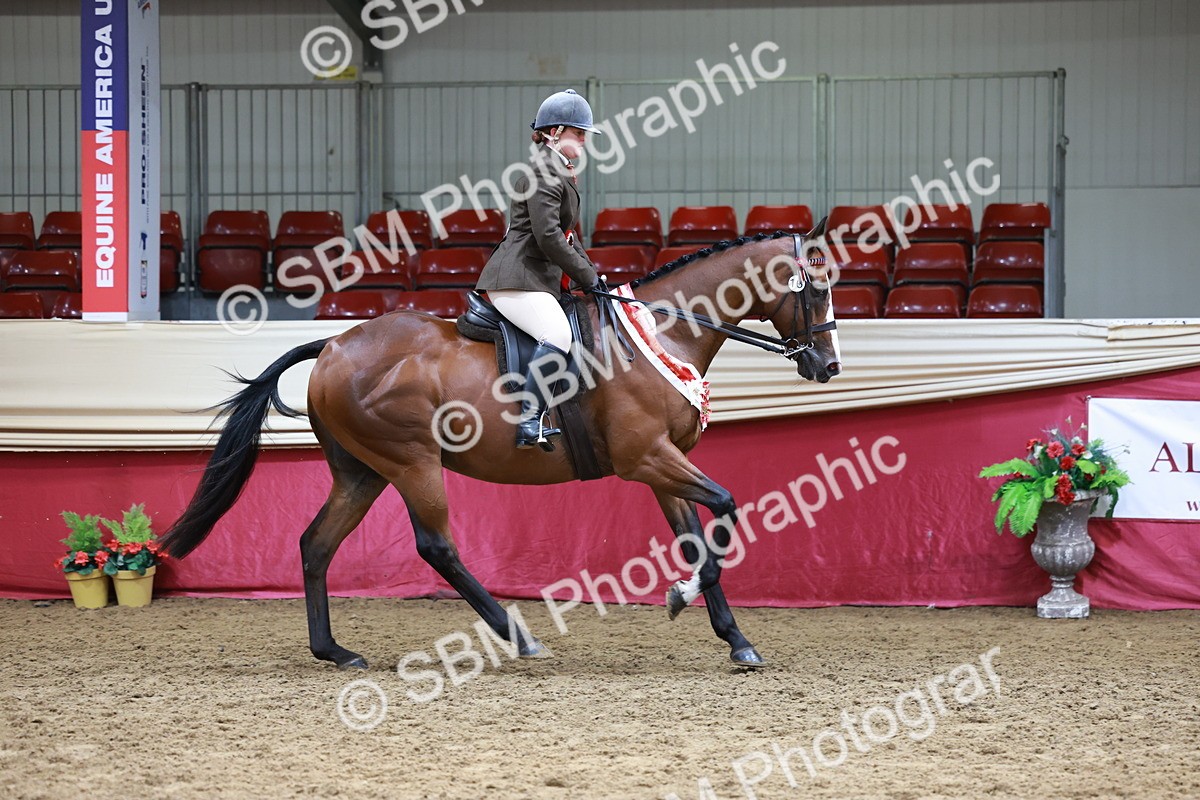 SBM_14997 - Class 108 - Ridden Retired Racehorse