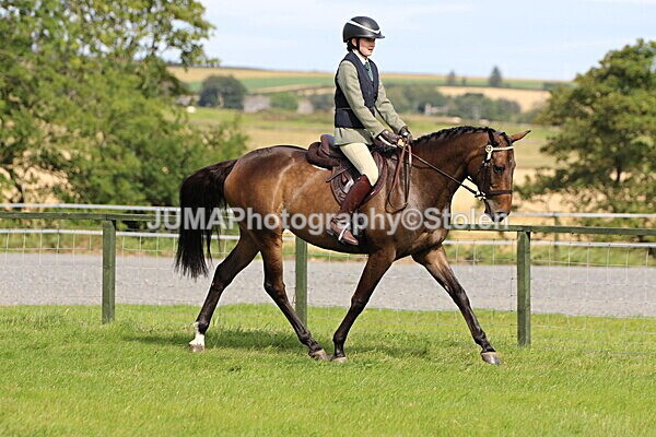 SIAL6703 - Ring 1 & 3