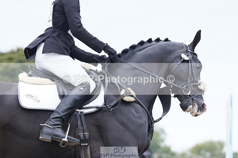 240831A-142610-04118 - 222-Max.Forster-HEVANS.ROYAL.REVOLUTION