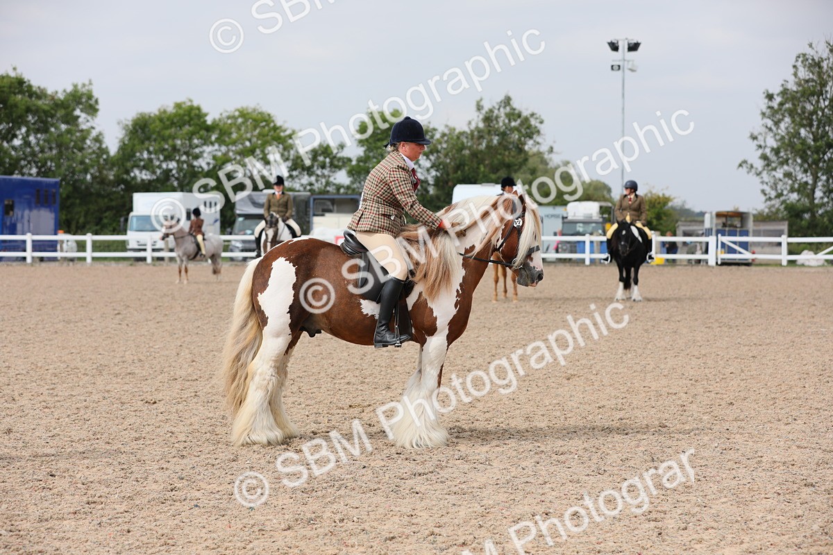 SBM_12767 - Class 307 Ridden Coloured Pony