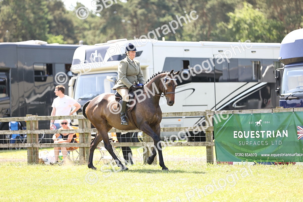 SBM_15001 - Class 78 - LIHS BSHA Open Racehorse & Show Horse