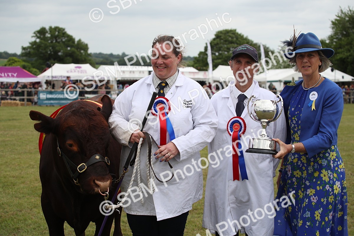 SBM_07913 - Grand Parade