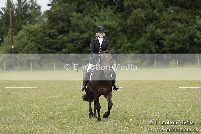 BVR160717-655 - Class 1 & 23a Dressage 16/07/17