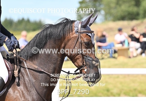 BPP_7290 - CLASS 14 FRI Nupafeeds Senior Dicovery/1m open