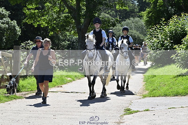 240728B-141207-00449 - Theo and Gemma's Groups Indoor