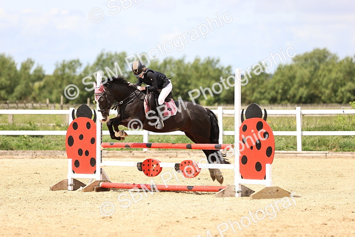 SBM_007590 - Class 2 - 80cm showjumping