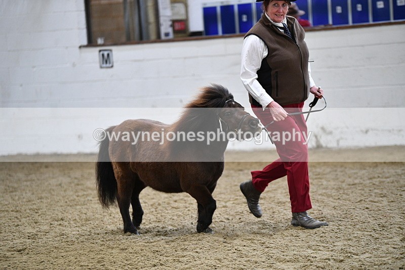 WJ5_5244 - Class 4 In hand M&M - small breeds