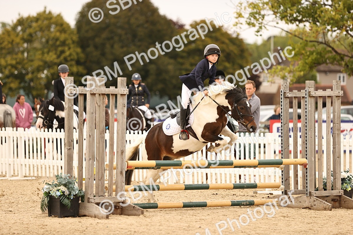 SBM_74256 - J14 - Junior Pony 65cm Championship