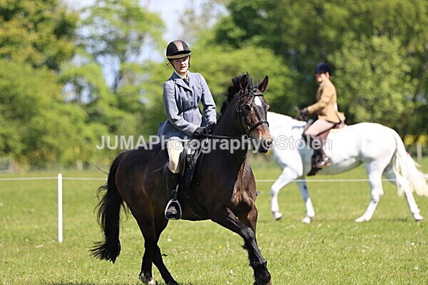 IMG_4159 - Working Hunter
