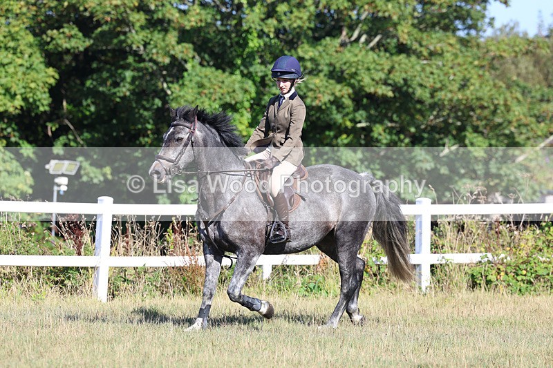 3E7A5514 - Class 3: Working Hunter 70cm