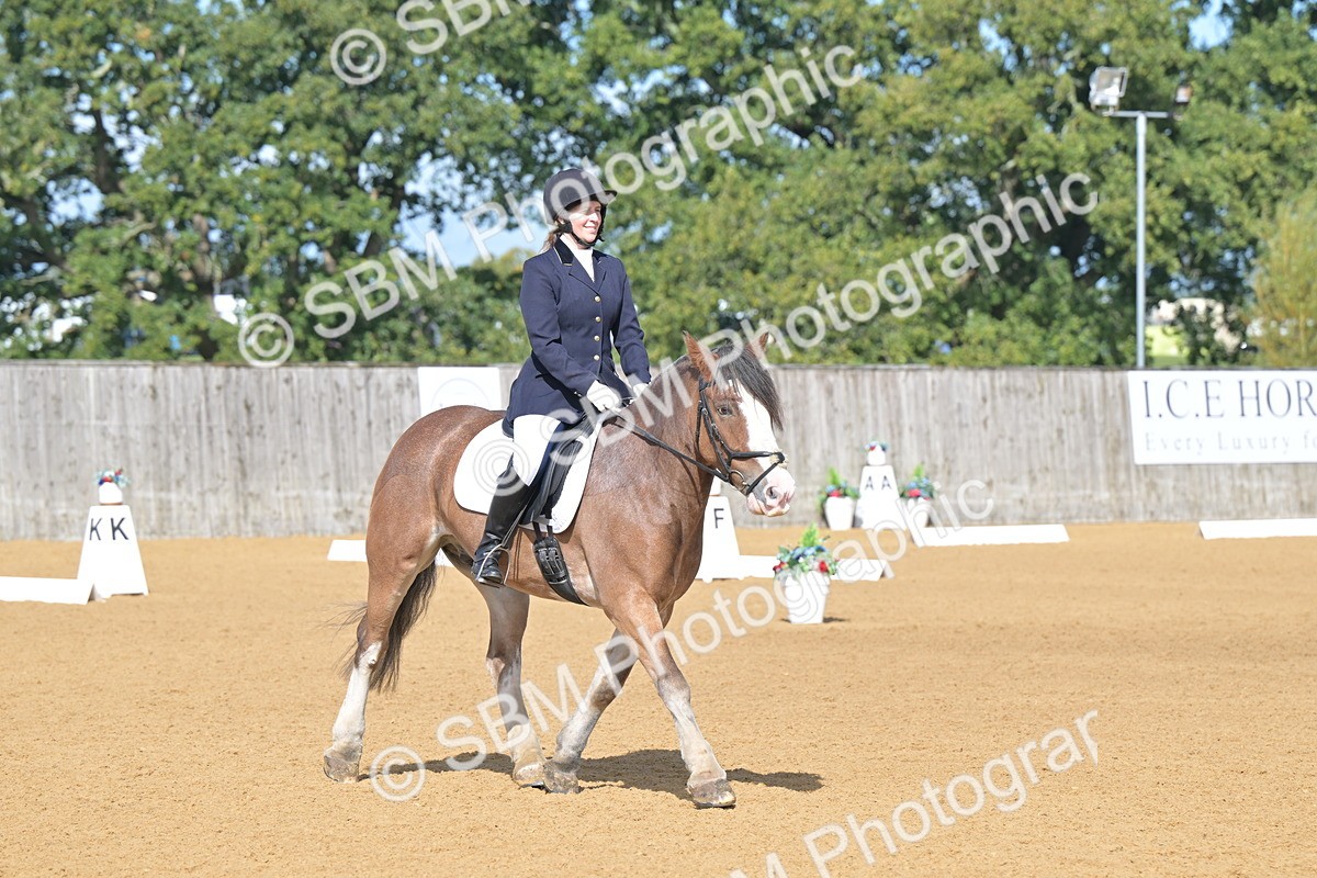 SBM_03885 - D2 - Small Tour Championship Intro 2