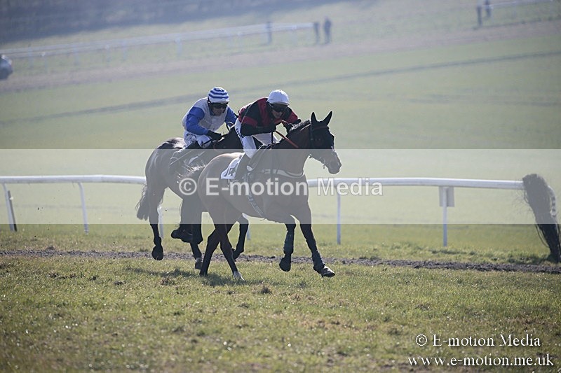 PtP 240218 36 - Vine & Craven Hunt Point-to-Point Barbury racecourse 24/02/18