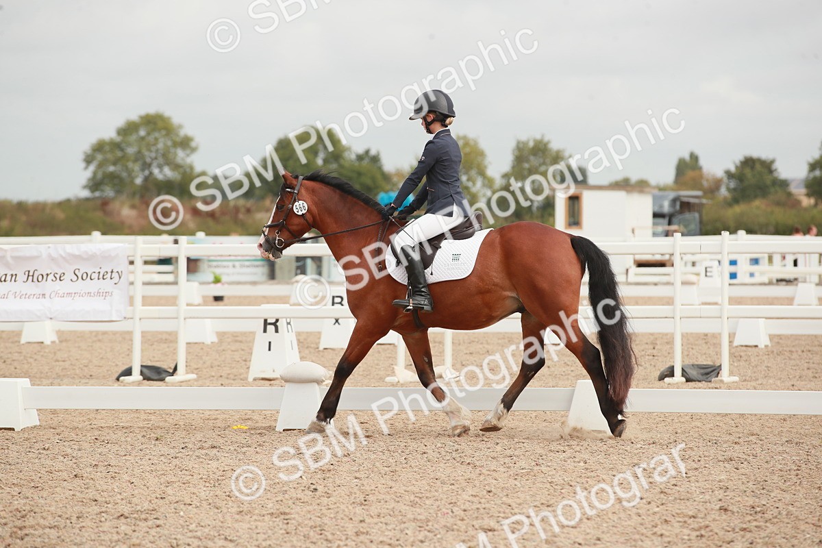 SBM_02711 - Class 30 - Intro 1