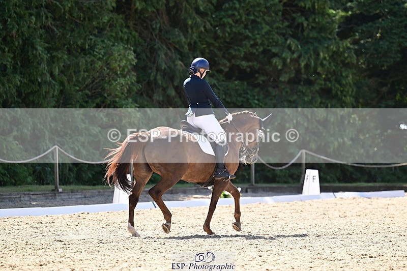 260731A-112429-00341 - Elementary Bronze 10.30 - Break