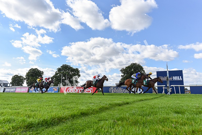 020825-Race 6-Big Leader-8225 - Race 6