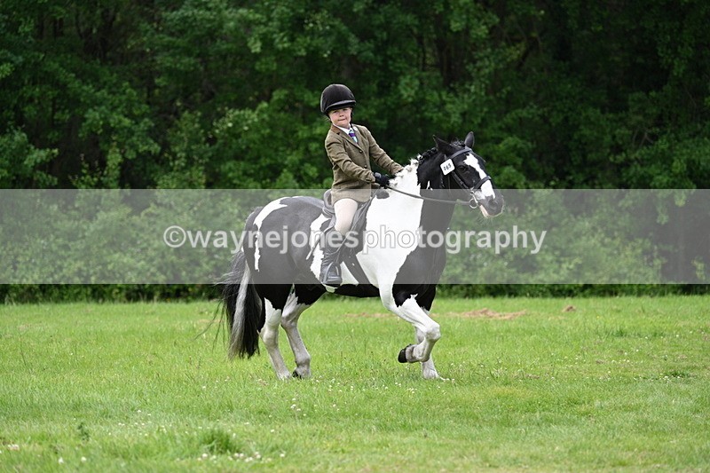 WJ7_2418 - Class 12A Coloured Class