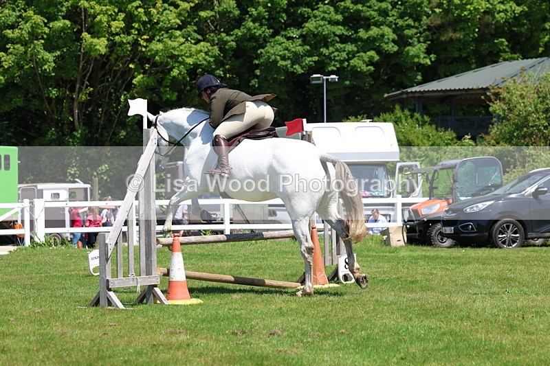 3E7A7495 - Class 31: Working Hunter Cob/Riding Horse