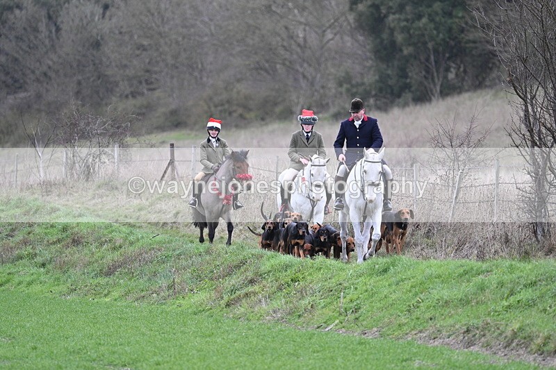 WJ7_0784 - First Seen