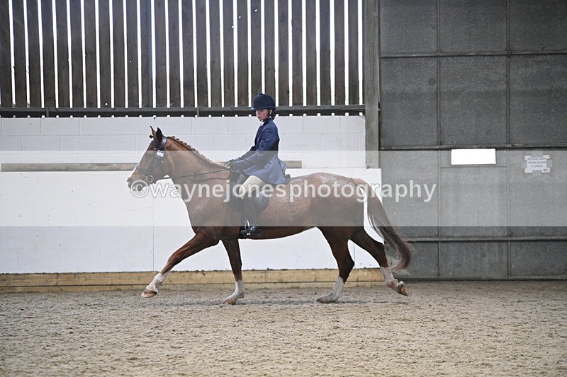 WJ7_4142 - Class 17 Ridden Cob
