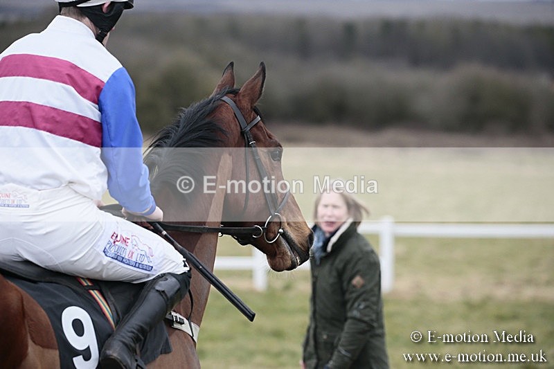 PtP 180218 352 - Combined Services Point-to-Point Larkhill 18/02/18