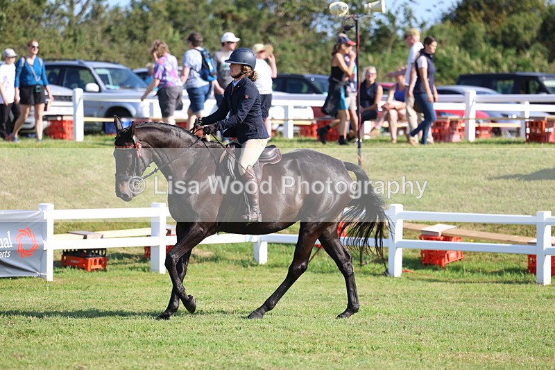 3E7A5607 - Class 2: Rising Star Large Hack/Riding Horse