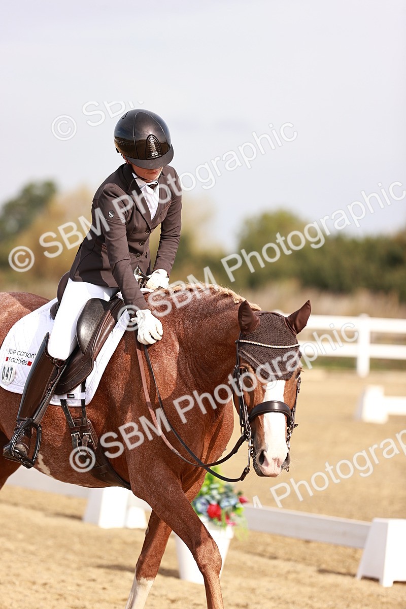 SBM_016873 - Class 10 - Medium 6