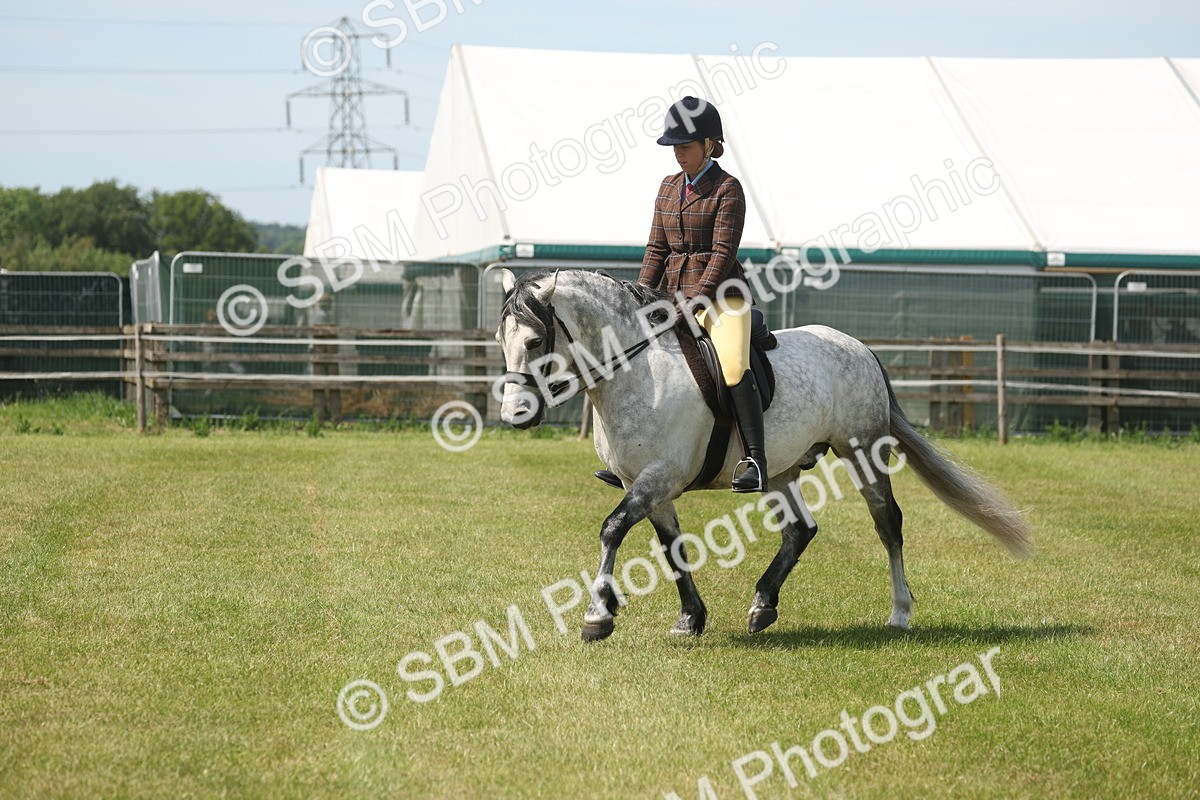 SBM_07612 - Class 26-30 - Mountain and Moorland Ridden