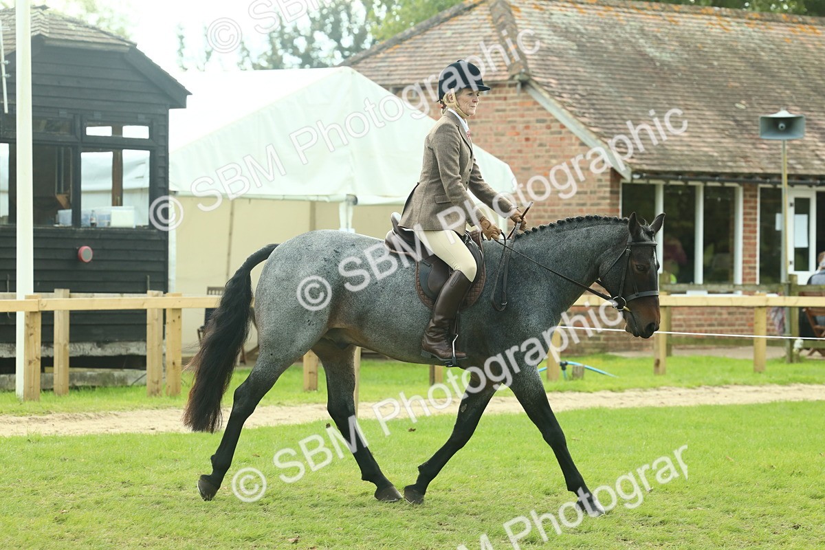 SBM_62588 - S63 - Other Coloured Horse Ridden