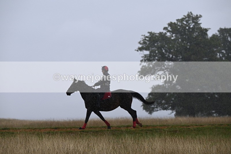 DSC_2819 - Time at Statue 12:59 to 13:49