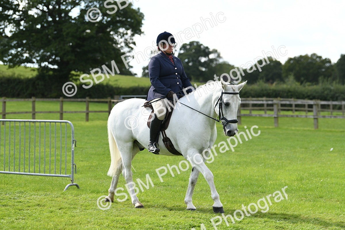 SBM_46704 - S12 - Family Horse & Pony