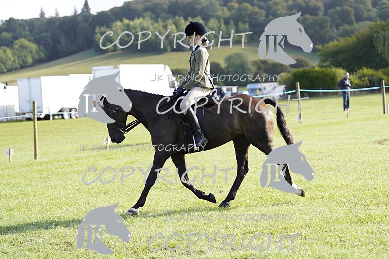 _DSC9363 - Class 8 & 17 Ridden Hunter & Ridden Hunter Pony