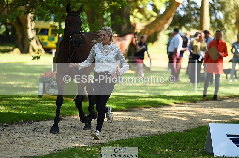 230524-155752-00583 - 205-ARTICUS-Maja_Hullah-WEDTrotUp+DR