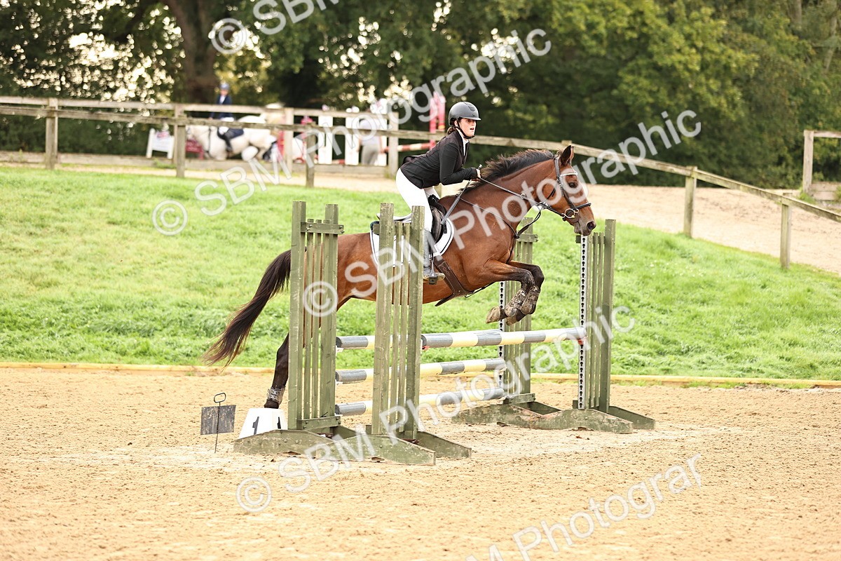 SBM_58306 - J41 - Grand Tour Horse & Pony 95cm