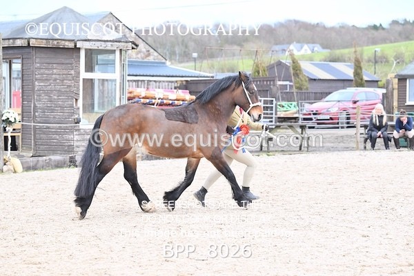 BPP_8026 - SUPREME CHAMPIONSHIP
